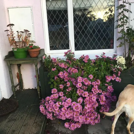 Casa rural The Pink House In Newtownmountkennedy, Co Wicklow